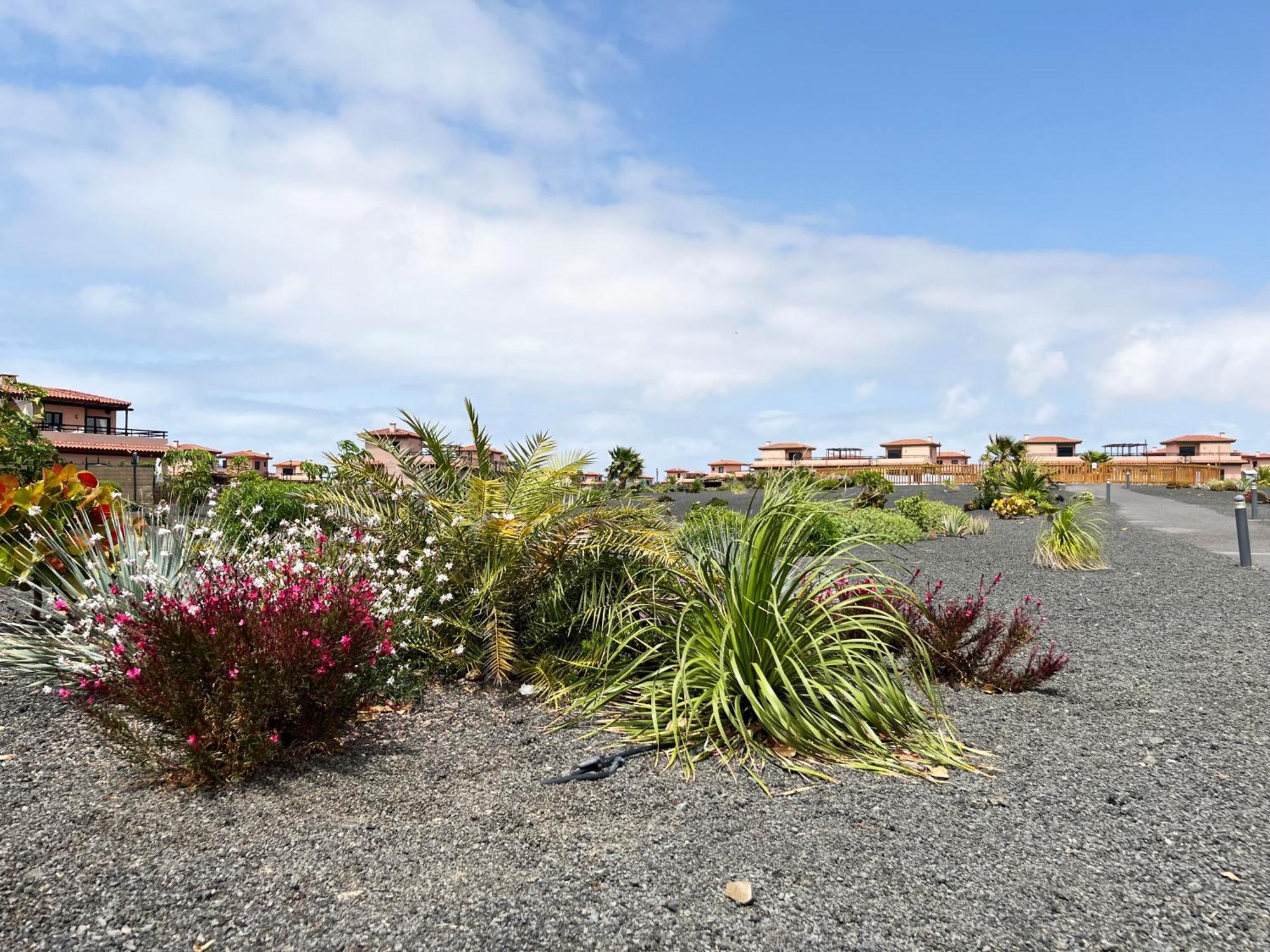 Casa Solayla Origomare Villa Lajares Luaran gambar